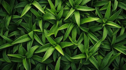 Obraz premium Lush green foliage background