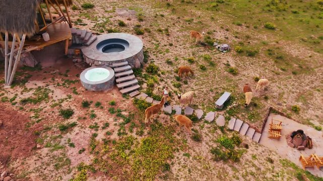Aerial view of a tranquil desert landscape in Peru, featuring llamas grazing near hot tubs and a fire pit