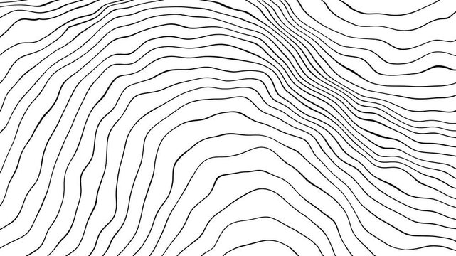 Black lines wavy pattern on white background topographic map wavy lines black and white