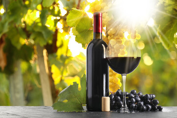 Naklejka premium Wine and fresh grapes on table. Glass and bottle in vineyard