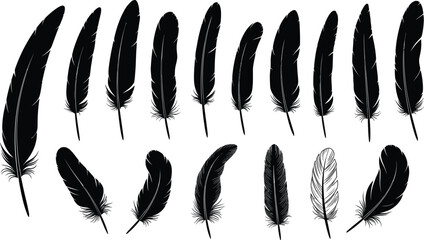 Black feather silhouettes collection isolated vector set bird plumage quill shapes decorative boho tribal nature elements design illustration © MdTajemul