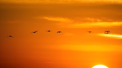 Fototapeta premium Flock of birds flying at sunset over glowing orange sky, dramatic silhouettes in peaceful evening scene with copy space background