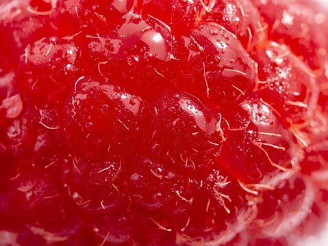Macro close up of fresh ripe raspberry fruit with detailed texture, vibrant red color and natural food background for healthy eating concepts