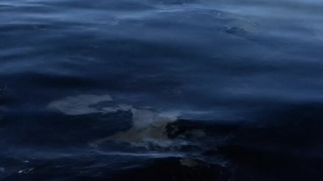 Water pollution concept using dark fluid motion