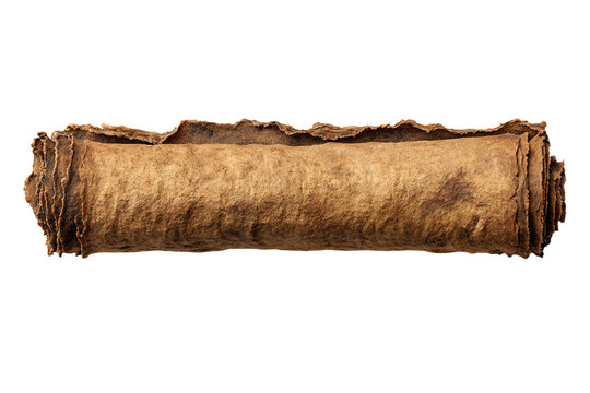 Ancient Scroll on White Background