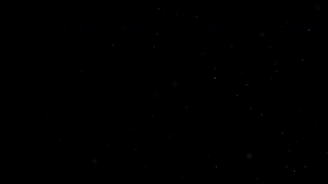 A dark background with scattered dust spots, providing a simple and neutral visual texture.