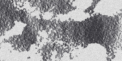 Grayscale abstract background with a dense granular texture and interconnected dark blotches forming an organic, mottled pattern