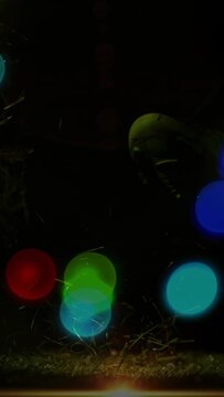 Vertical video: Ground glow pulsing JAPAN ball tilting and rotating exiting showing grass and bokeh