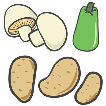 Fresh white mushroom opo squash and potato set, organic asian bottle gourd and root vegetables isolated on transparent background for healthy food design