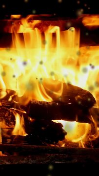 Vertical video: Ember heat starting logs burning, flames shifting, sparks rising, giving warm glow