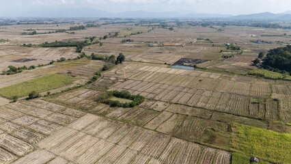 Naklejka premium Aerial view of the rice field before plantation season in Thailand. Preparing the land is a crucial step to ensure that the saplings have sufficient access to nutrients and water.