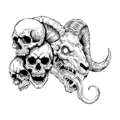 hand drawn illustration of skull and sheep head vector