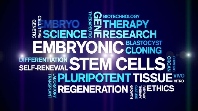 Embryonic Stem Cells animated word cloud-text design animation tag kinetic typography seamless loop.