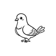 Fototapeta premium Simple pigeon bird outline illustration for coloring or design
