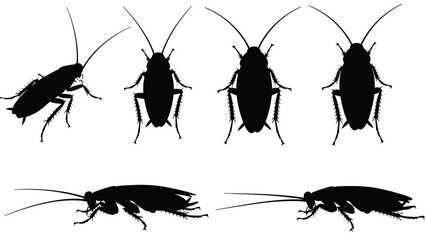 Cockroach silhouettes set, creeping insect icons, pest control service graphics, household bug infestation, roach vector collection for hygiene and sanitation, © Ahahila
