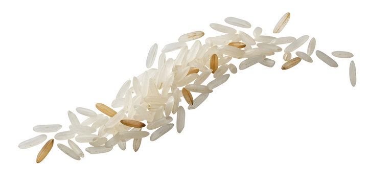 Close up of rice grains scattered Isolated on Transparent Background