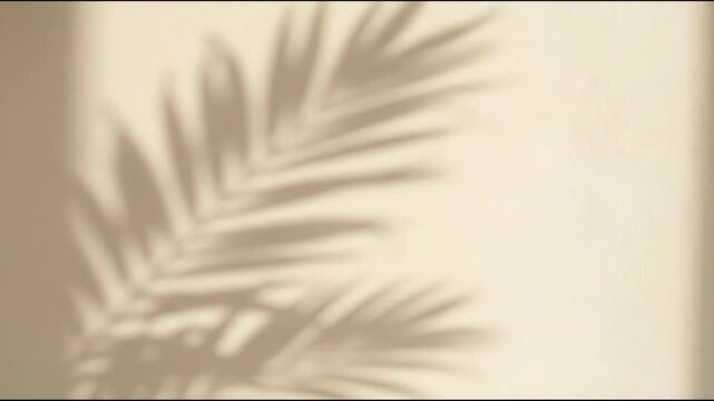 Soft palm leaf silhouette on beige wall with warm sunlight creating minimalist tropical texture and calm natural shadow