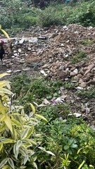 Rubble Pile and Greenery in Outdoor Setting