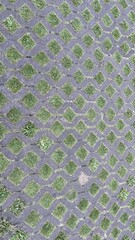 Geometric Paver Path with Grass Inset