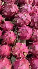 Bright Pink Dragon Fruits Piled in a Market Display