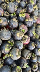 Fresh Dark Blue Purple Huckleberries Piling High