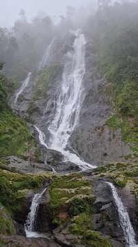 4K 60FPS video footage of Curug Sikarim waterfall flowing through a lush tropical forest with a misty atmosphere. Ultra-high-definition resolution and smooth high frame rate capture detailed textures 