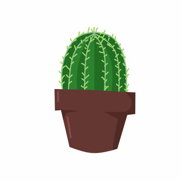 Vector illustration of golden barel cactus on pot for sticker for your desain for your illustration