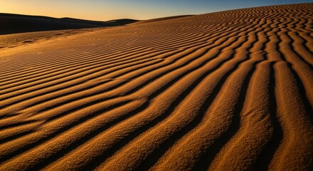 Naklejka premium Golden ripples of sand dunes under the evening sky’s soft glow