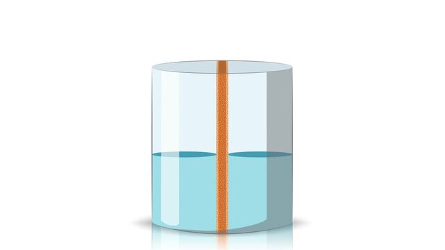 Educational Osmosis Sowing Animation Video Explaining Water Diffusion in Cells for Students and Teachers