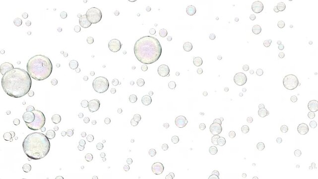 Slowly rising water bubbles with iridescent reflections on white background