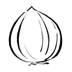 手描きの玉ねぎイラスト
