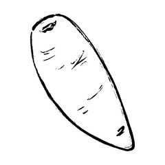 筆で描いた人参のイラスト