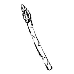 手描きアスパラガスのイラスト