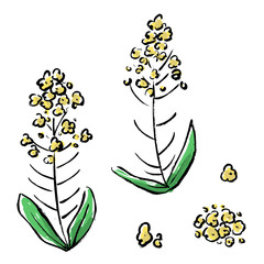 菜の花の筆タッチ素材イラストセット
