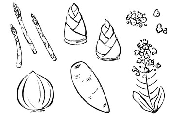 筆タッチの春野菜イラスト5点セット