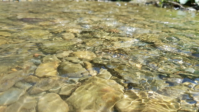 Crystal clear water gently flowing over smooth, textured river rocks, creating a serene and tranquil natural scene with shimmering light reflections on the surface