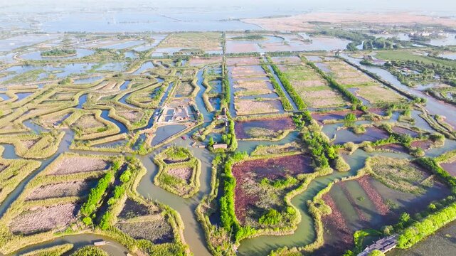 Hongze Lake Wetland Winter 4k Aerial