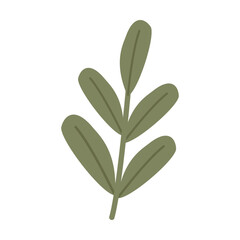 Obraz premium Green Leafy Branch Cottagecore Illustration with Hand Drawn Decorative Design