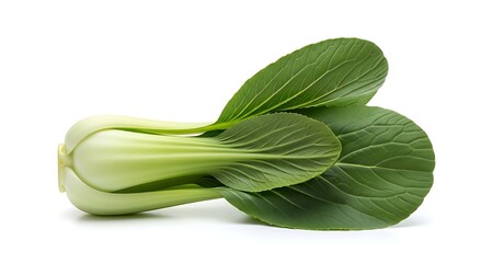 Fresh Bok Choy Vegetable on White Background.