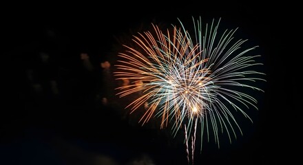 Vibrant fireworks exploding in the dark night sky, creating a beautiful and colorful light display.