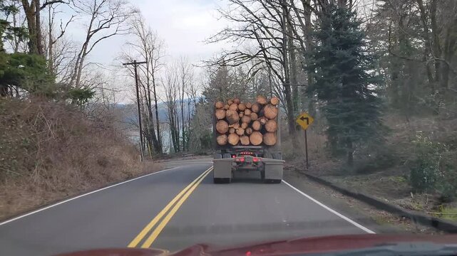 Video footage of a logging truck carrying timber driving on a forest road in Oregon, USA showing rural transportation, forestry industry, and cargo movement in the Pacific Northwest.