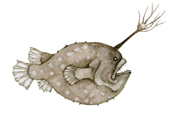 チョウチンアンコウ アンコウ　深海魚 深海生物　水彩 イラスト