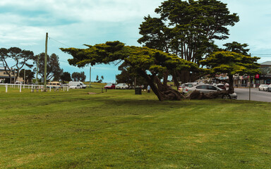Fototapeta premium Visitors explore pier, coastal streets, and observe waterbirds at Bermagui Fishermen's Wharf, NSW, Australia, September 26, 2022