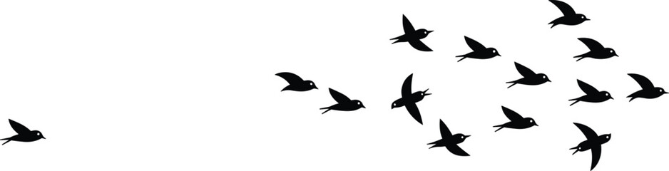 Black Bird Silhouettes Flying in a Group with One Leader Following Behind, Vector Illustration of Leadership and Individualism Concept Art