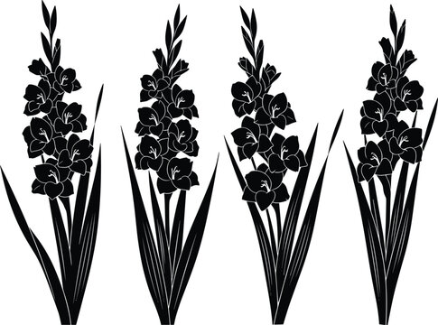 Black and White Gladius Flower Silhouette Illustration Set, Elegant Floral Gladiolus Botanical Vector Design for Crafting, Vinyl Cutting, and Minimalist Tattoos