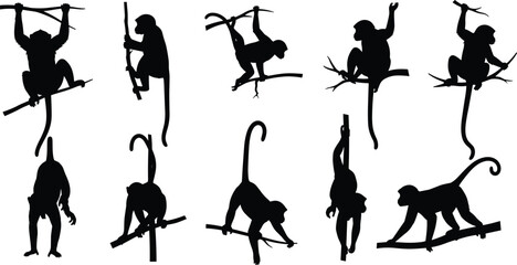Black Monkey Silhouette Collection Featuring Macaque and Primate Species Climbing on Tree Branches for Tropical Wildlife Nature Animal Zoo Vector Illustration Isolated on White © Mst