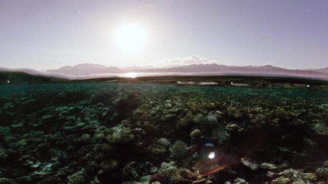 Panorama of half underwater sunset scene with calm ocean surface above shallow coral reef