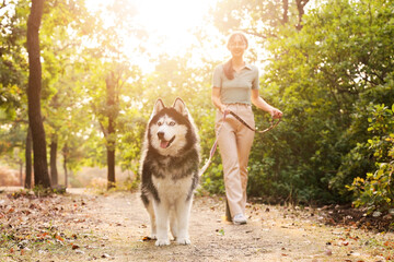 Beautiful young woman with cute Husky dog walking in park © Pixel-Shot