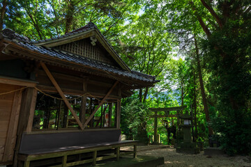 阿蘇の水神パワースポット(本堂)
「一滴の湧水に、太古の祈りが透き通る。命を育む、南阿蘇・群塚神社。」
南阿蘇村
Aso's Water God Power Spot
"Ancient prayers shine through every drop of spring water. Minamiaso's Gunzuka Shrine, where life is nurtured."