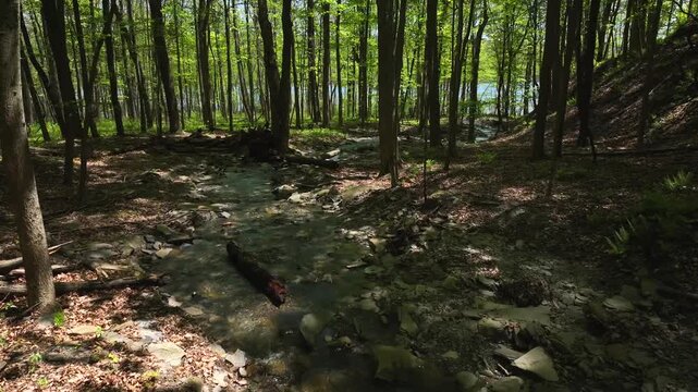 Outdoors in nature with peaceful clear water stream in green forest at Hemlock Finger Lake in Central New York State 